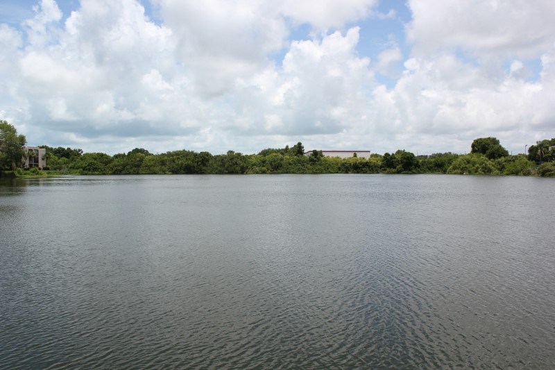 a large body of water with trees in the background