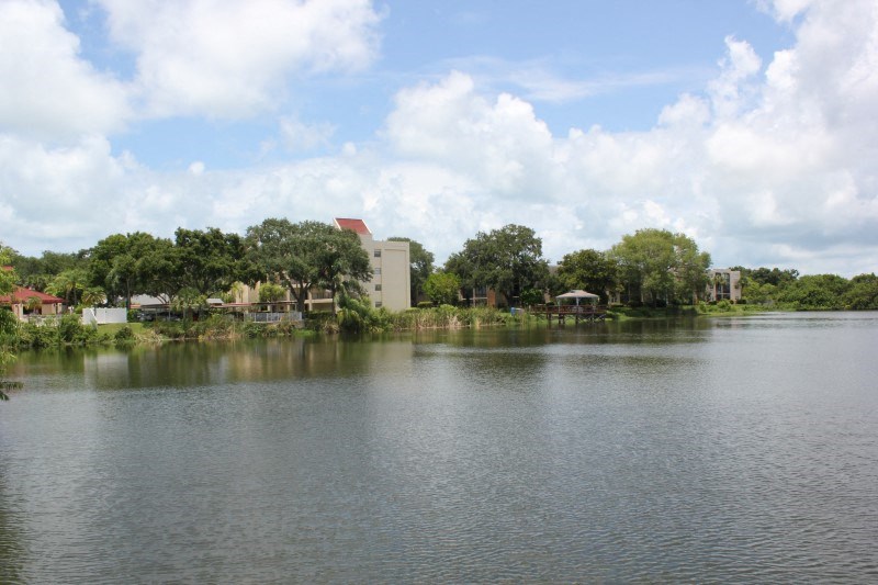 a body of water with trees and a building on the other side