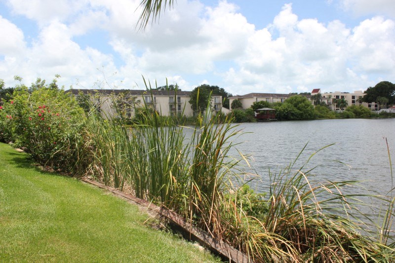 a body of water with buildings in the background