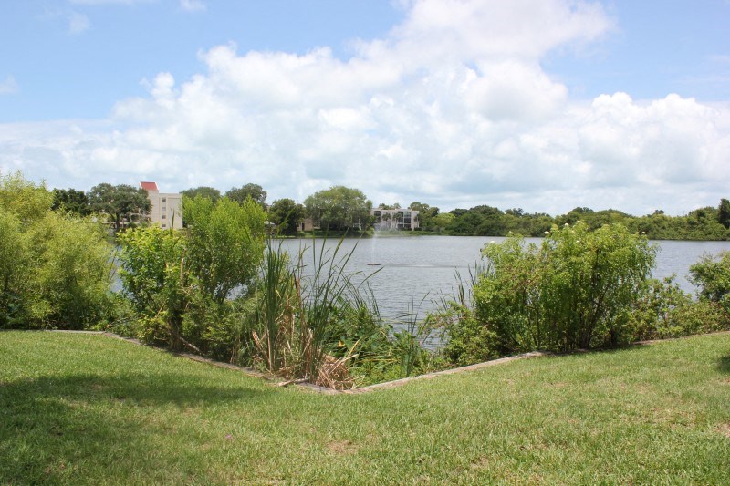 a view of a lake with trees and a building in the background