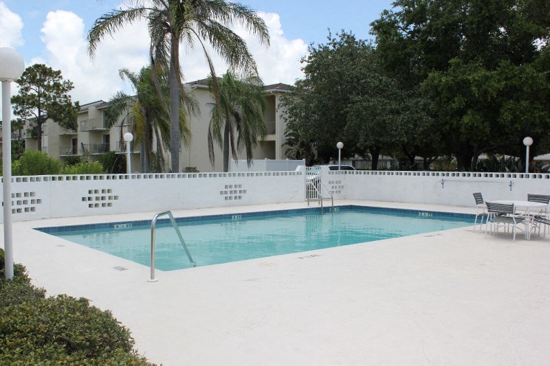 the pool at our hotel is clean and ready to use