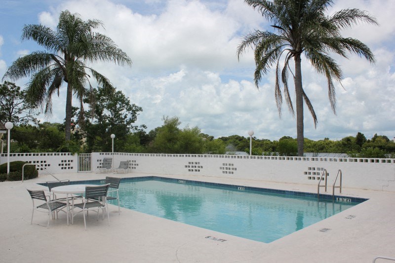 a swimming pool with chairs and palm trees
