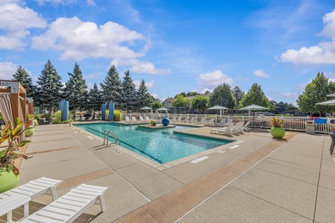 A large outdoor swimming pool surrounded by sun loungers and trees.
