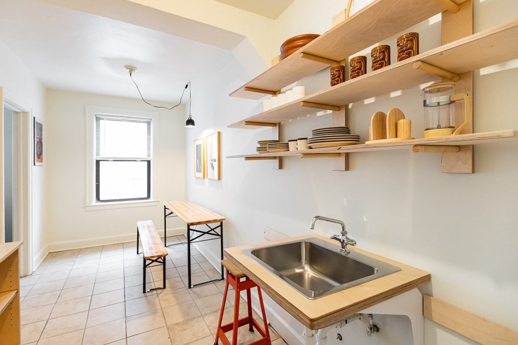 a view of a ceiling with many different types of plants on it
