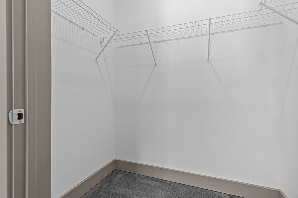 Empty walk-in closet with a grey carpet.
