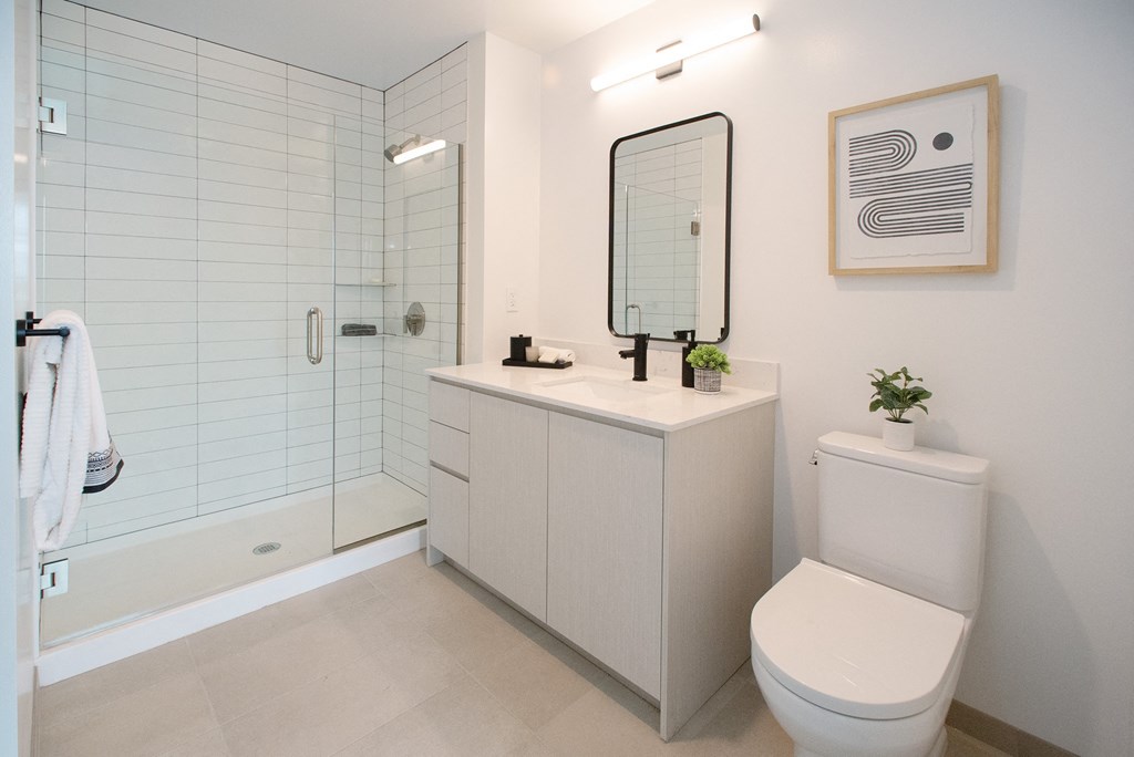 a room filled with lines of letters and plants