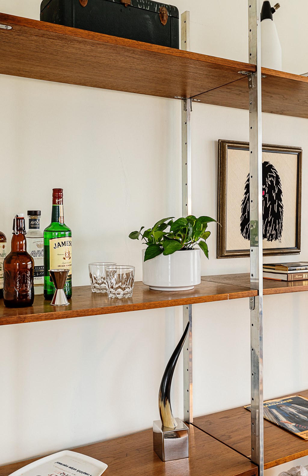 a living room with a bookshelf and a plant