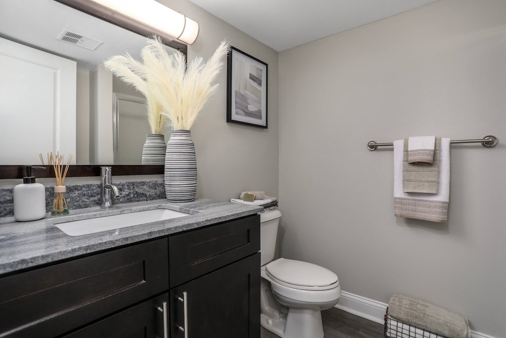 a bathroom with a sink and a toilet and a mirror