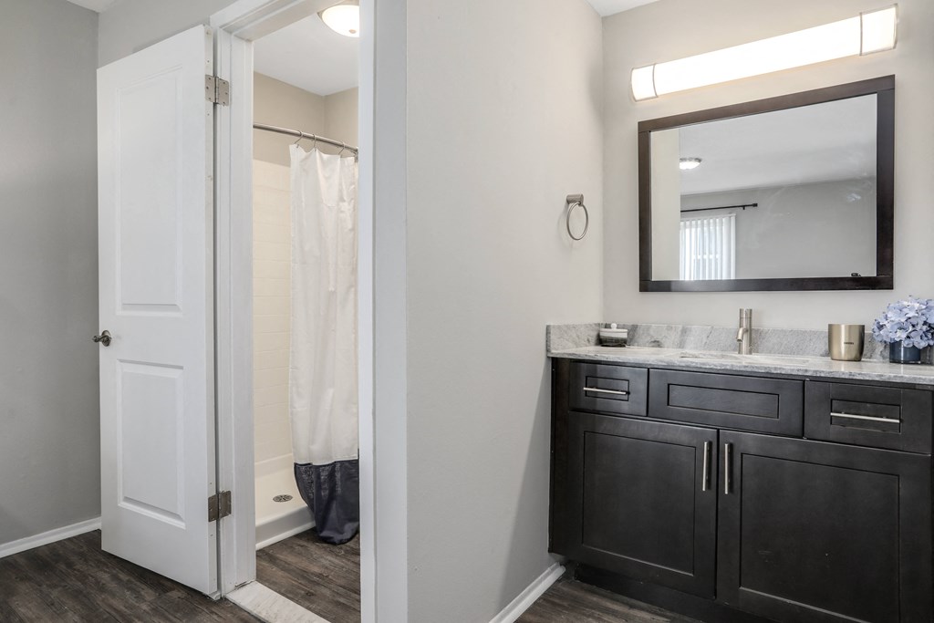 a bathroom with a mirror and a sink and a shower