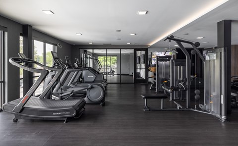 Gym at Flats at Iron Ridge, Ferndale, MI 48220