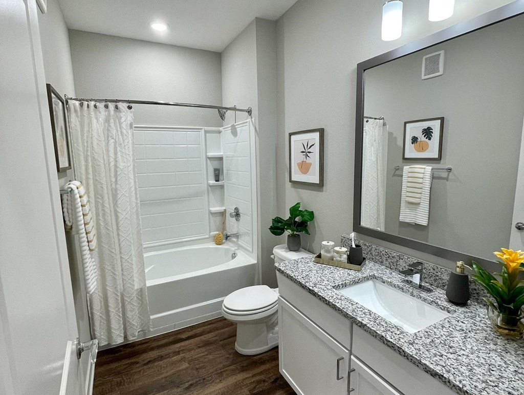 a bathroom with a shower toilet and a sink