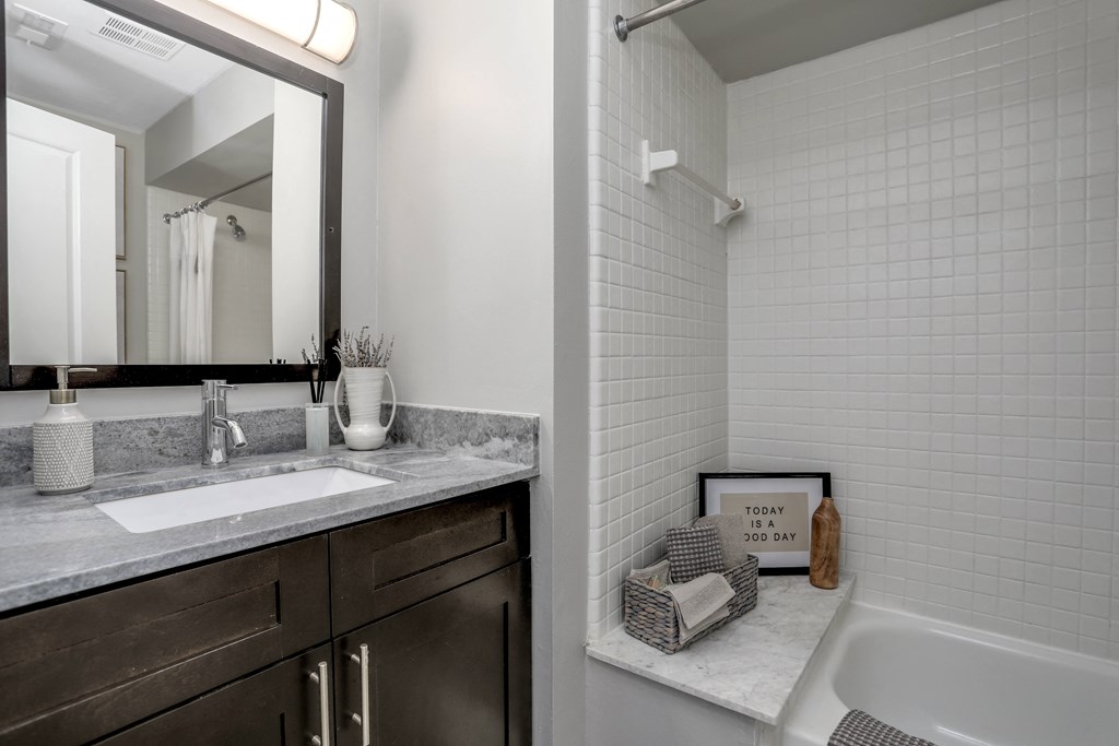 a bathroom with a sink and a mirror and a tub