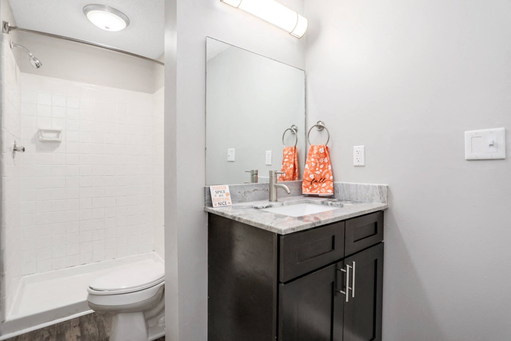a bathroom with a sink and a toilet and a mirror