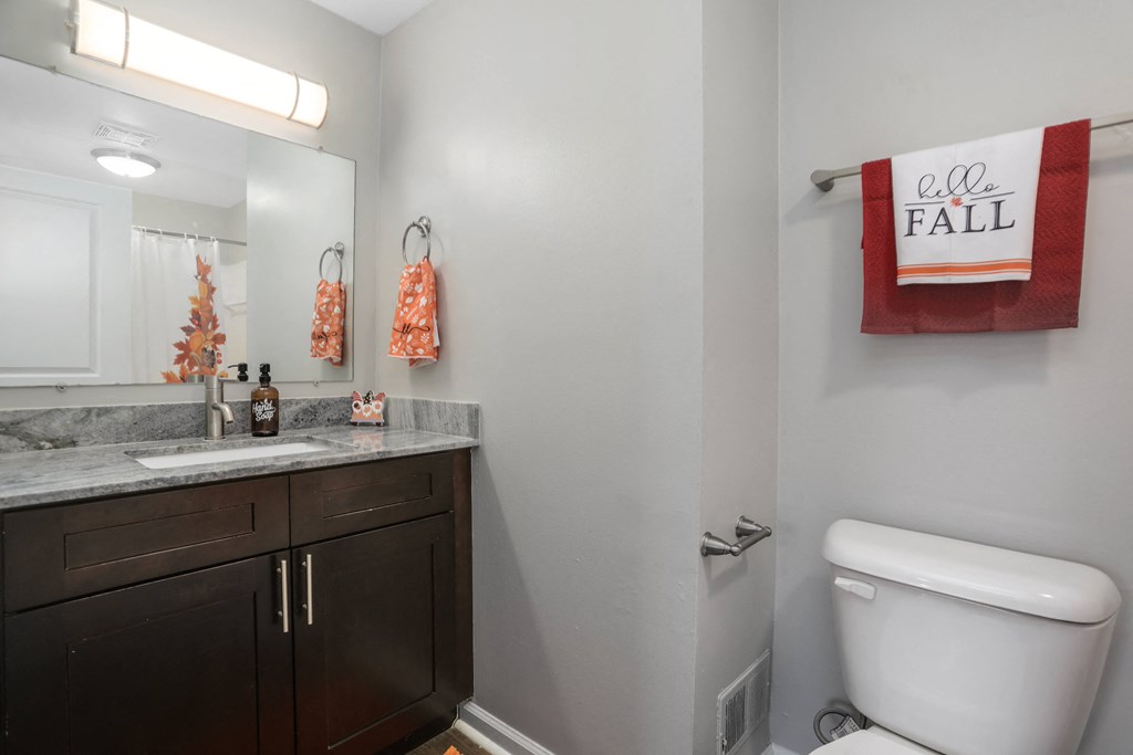 a bathroom with a toilet and a sink and a mirror