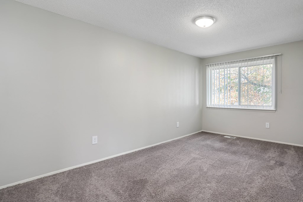 an empty room with carpet and a window