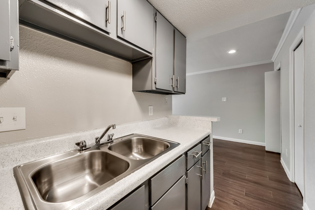 A kitchen with a sink and cabinets.