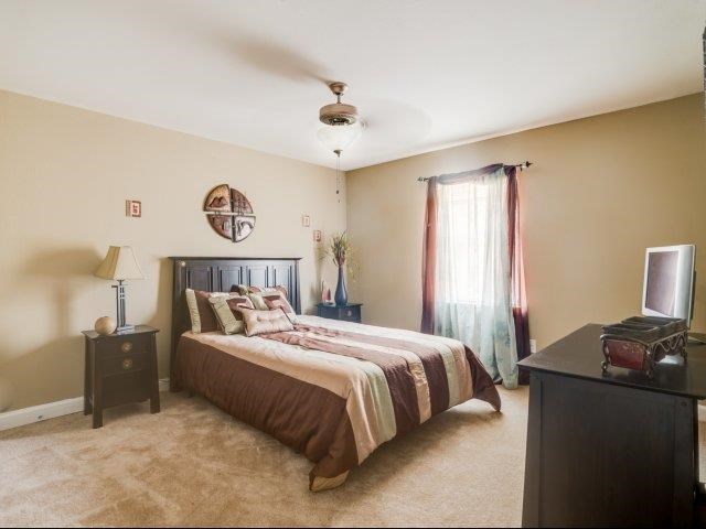 a bedroom with a bed and a television