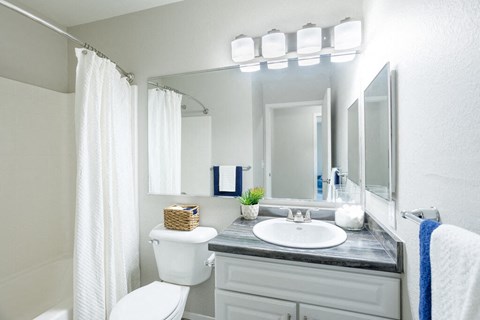 a bathroom with a sink toilet and a mirror