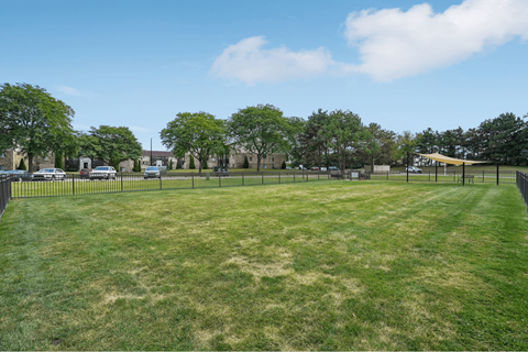 A large grassy field with trees and a fence in the background.