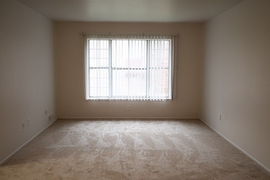 1 bed 1 bath living room