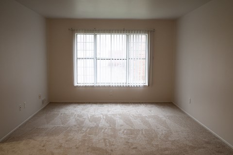 1 bed 1 bath living room