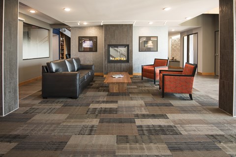 A living room with a grey carpet and a black leather couch.