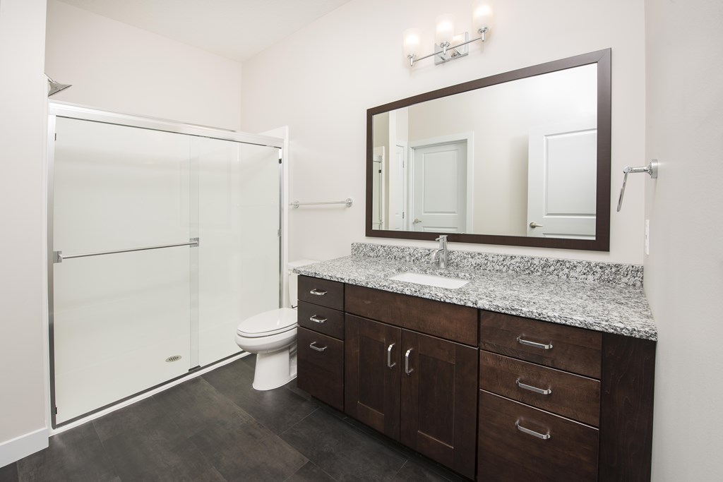 A bathroom with a walk-in shower, toilet, and a vanity with a mirror.