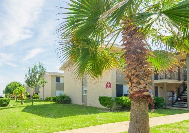 Palm tree in front of the exterior of the building with neat landscaping.
