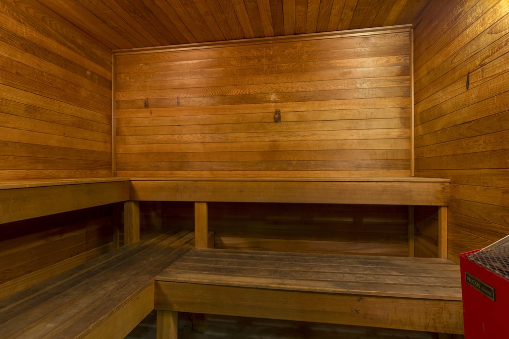 A wooden sauna with benches and a door.