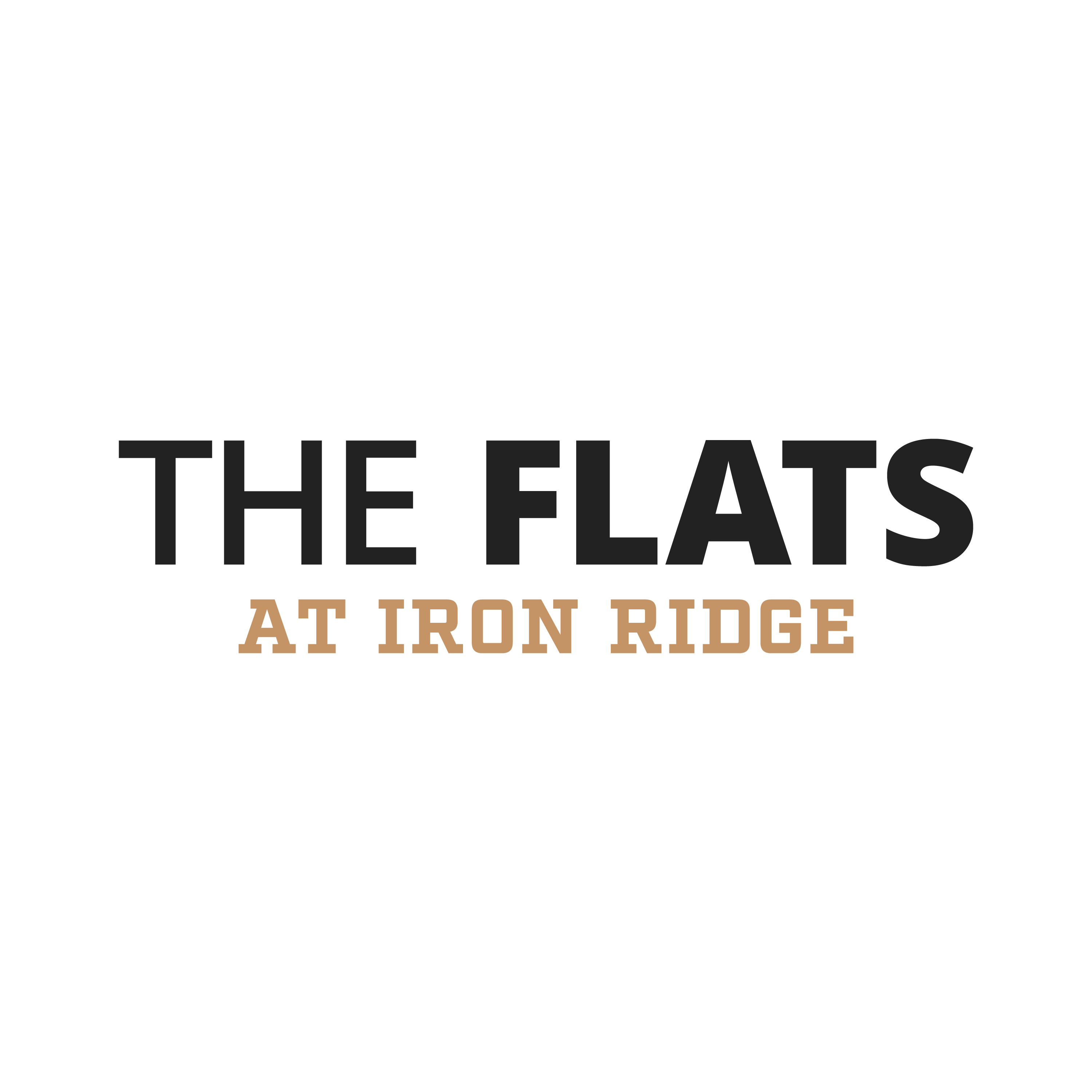 Property Logo at Flats at Iron Ridge, Ferndale Michigan