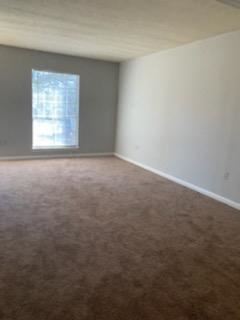 Bedroom with plush carpeting and window