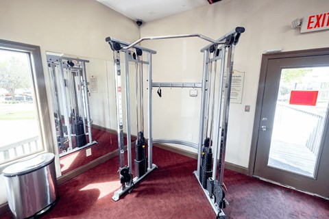 A gym with a red carpet and a row of exercise machines.