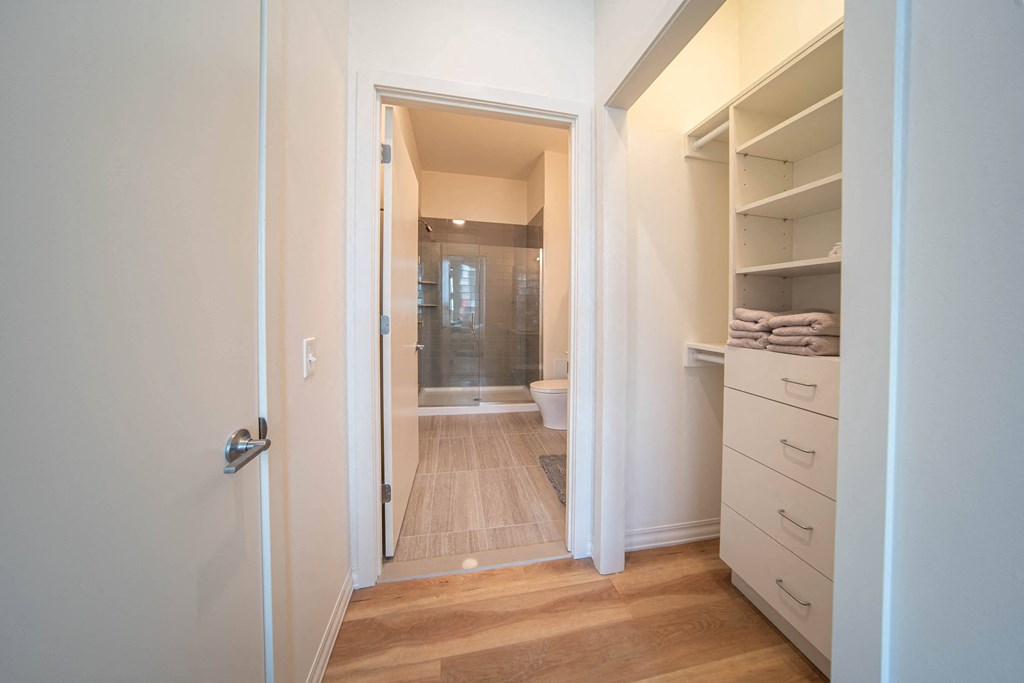 a bedroom with a closet and a bathroom with a shower