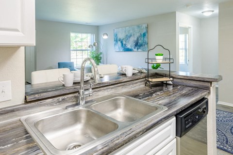 a kitchen with a sink and a counter top