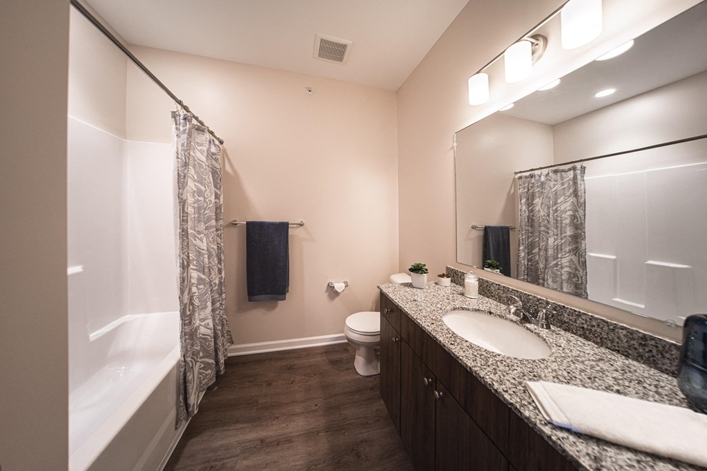 Image of bathroom, step