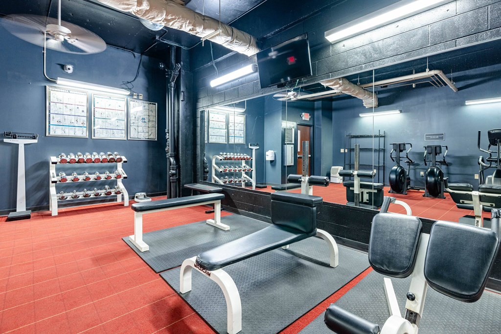 a gym with weights and a row of gym chairs and a tv