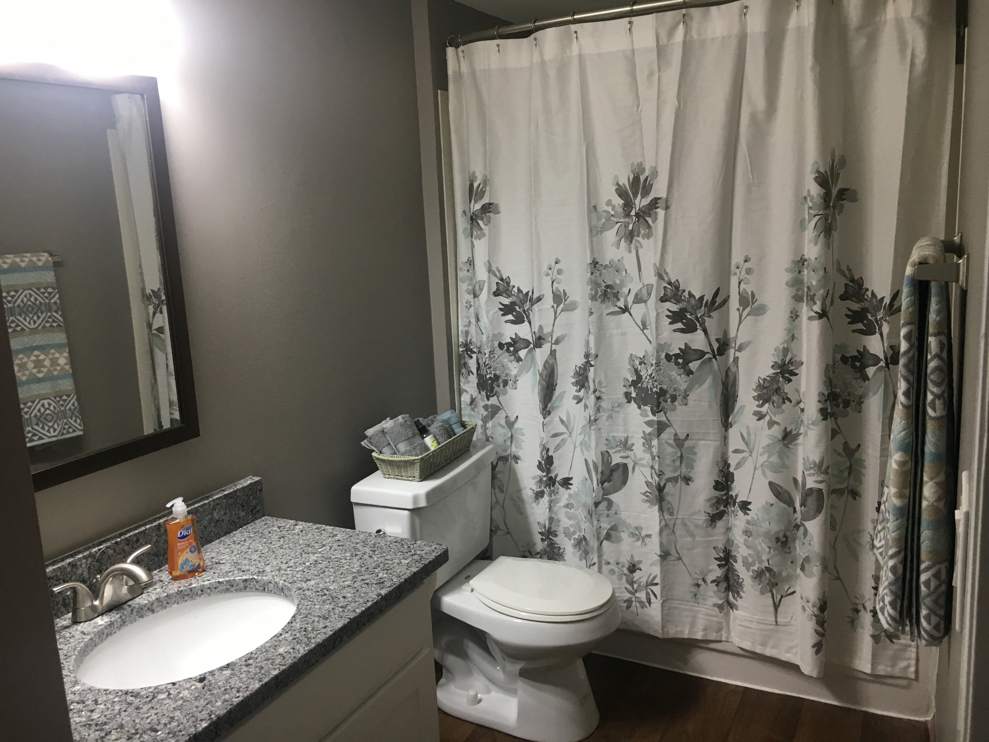 Bathroom with grey counter and white sink and toilet.  Floral patterned shower curtain.