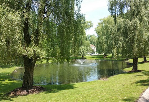 Green grass in center of photo overlooking pond with fountain in center.  Trees surrounding the pond.