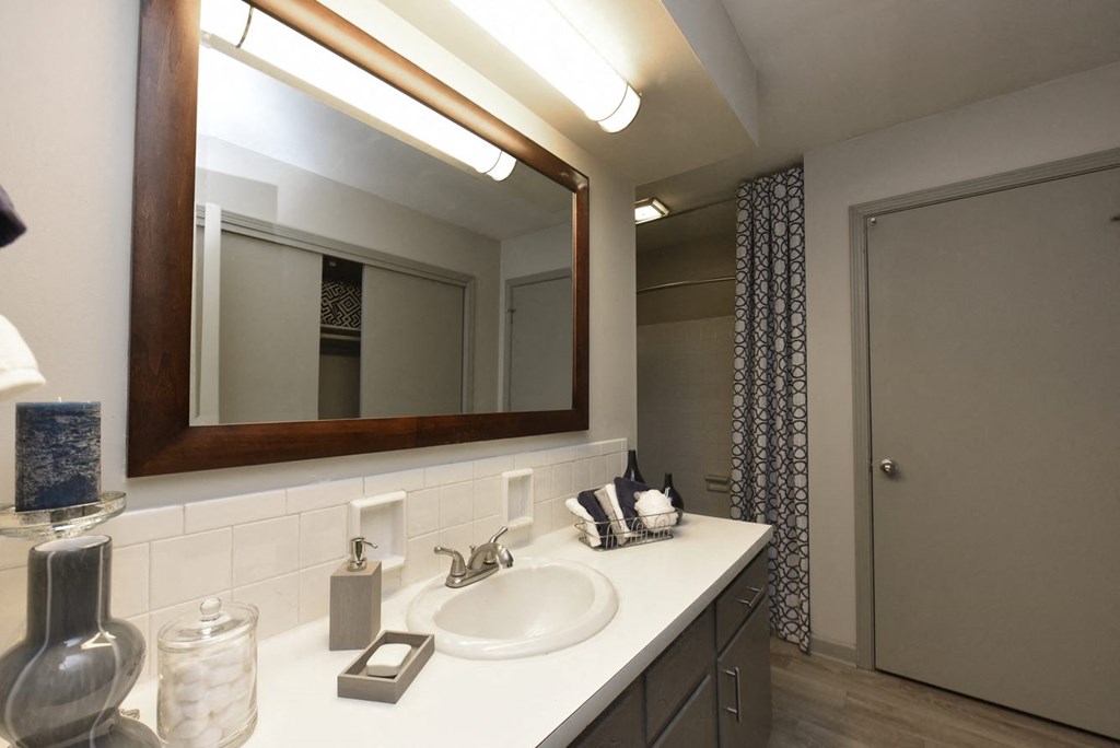 a bathroom with a sink and a mirror
