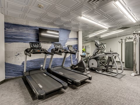 A gym with treadmills and exercise equipment.