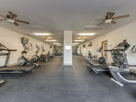 A gym with treadmills, exercise bikes, and weights.