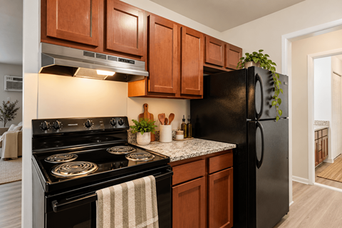 A black refrigerator with a green plant on top of it.