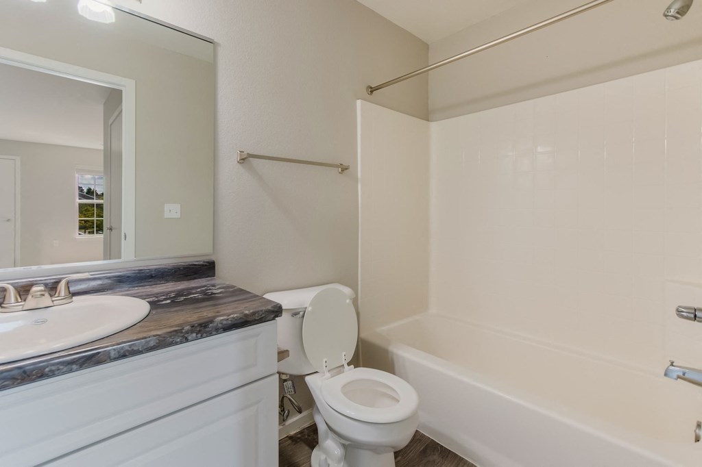 a bathroom with a toilet and a sink and a tub