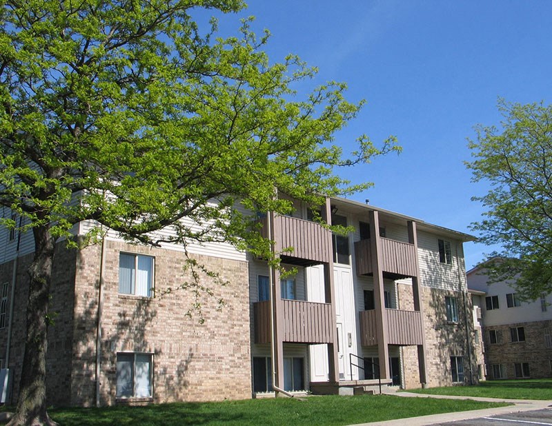 Exterior of Brighton Cove on a sunny day. Big bright green tree is in front of the building.
