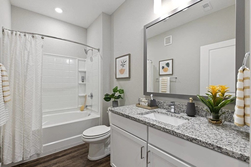 a bathroom with a sink and a shower and a toilet