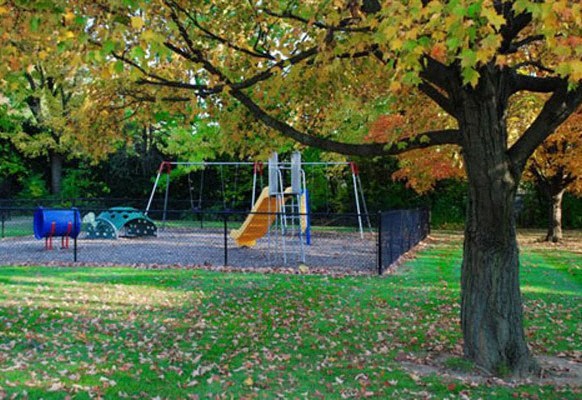 a swing set in a park next to a tree