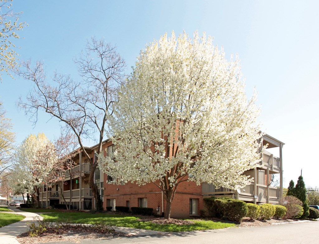 a tree with white flowers in front of an apartment building