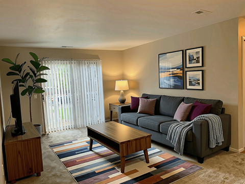 A living room with a grey couch, a wooden coffee table, and a colorful rug.