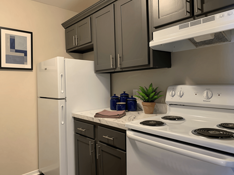 A white stove top oven with a plant on the counter.