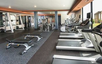 A gym with treadmills, weights, and exercise machines.